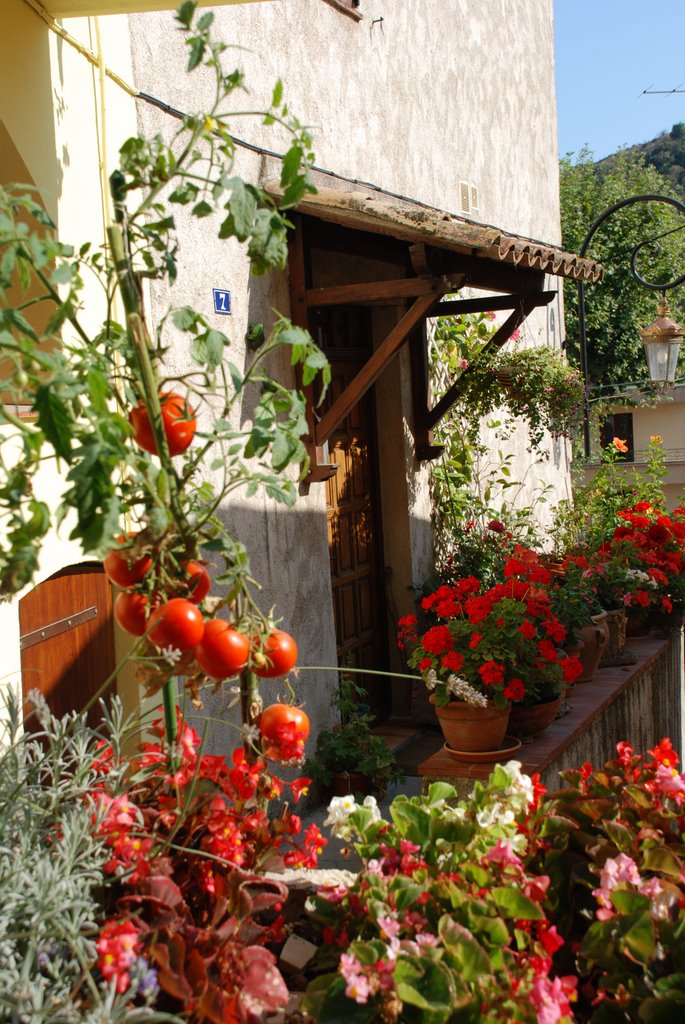 Rue de la chapelle (villeneuve loubet 06) by emmanuel berte