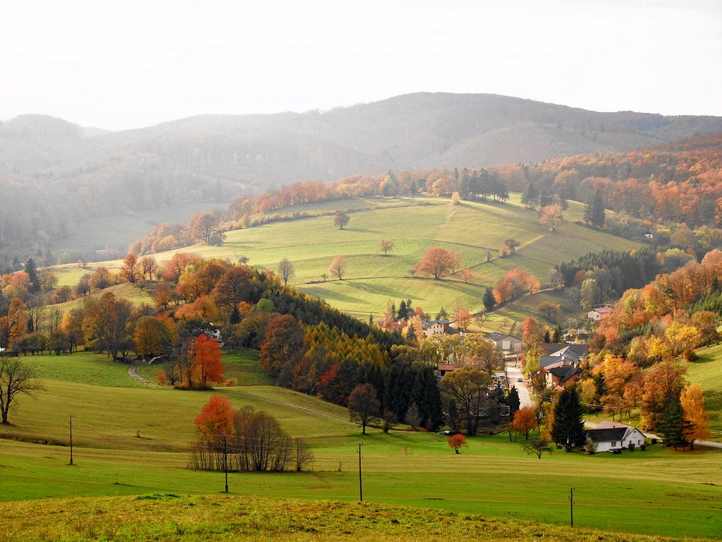 Großhöniggraben im Herbst by gertfrohnwieser