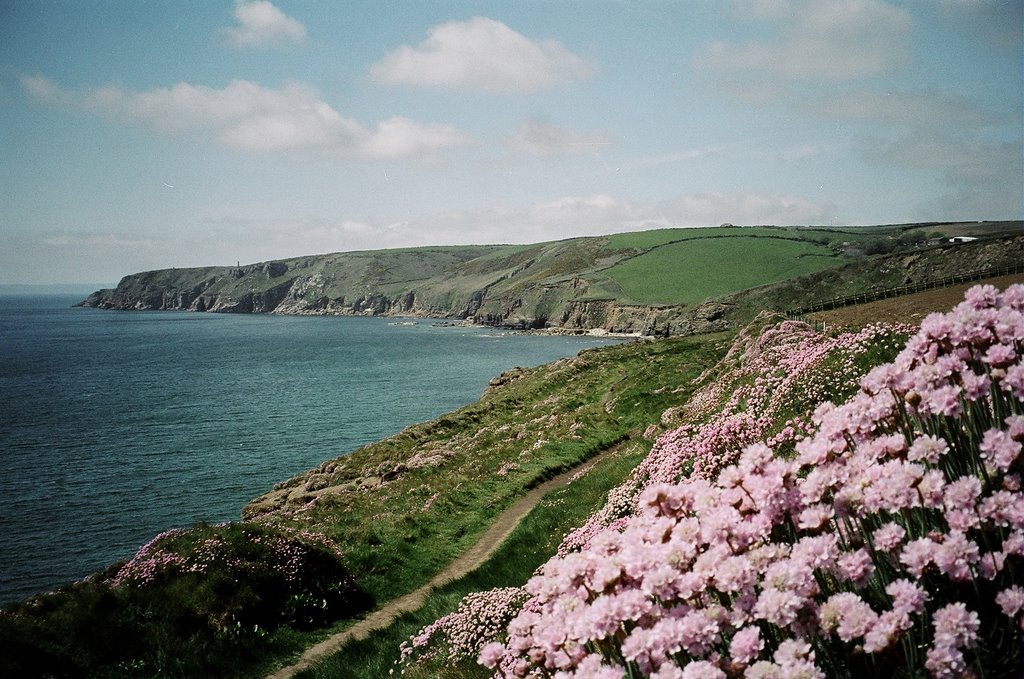 Path from Porthleven by Dudek