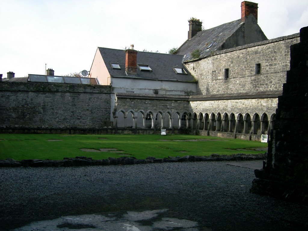 Ennis Friary by debbill