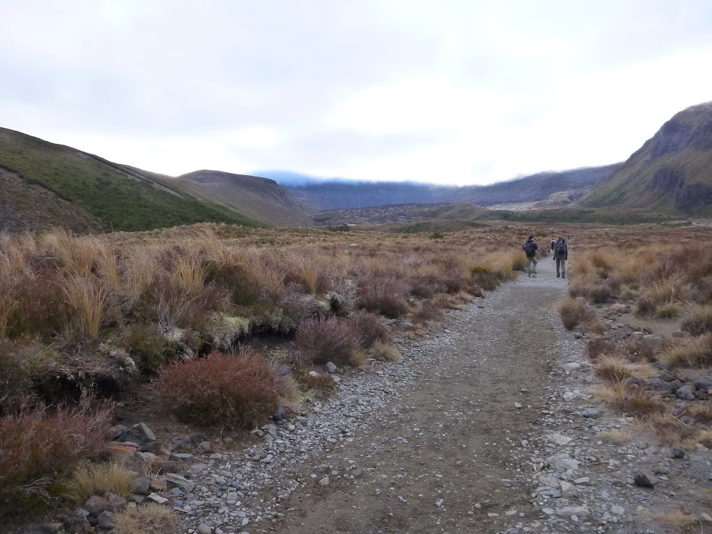 Ruapehu District, Manawatu-Wanganui, New Zealand by Nick.Daniels