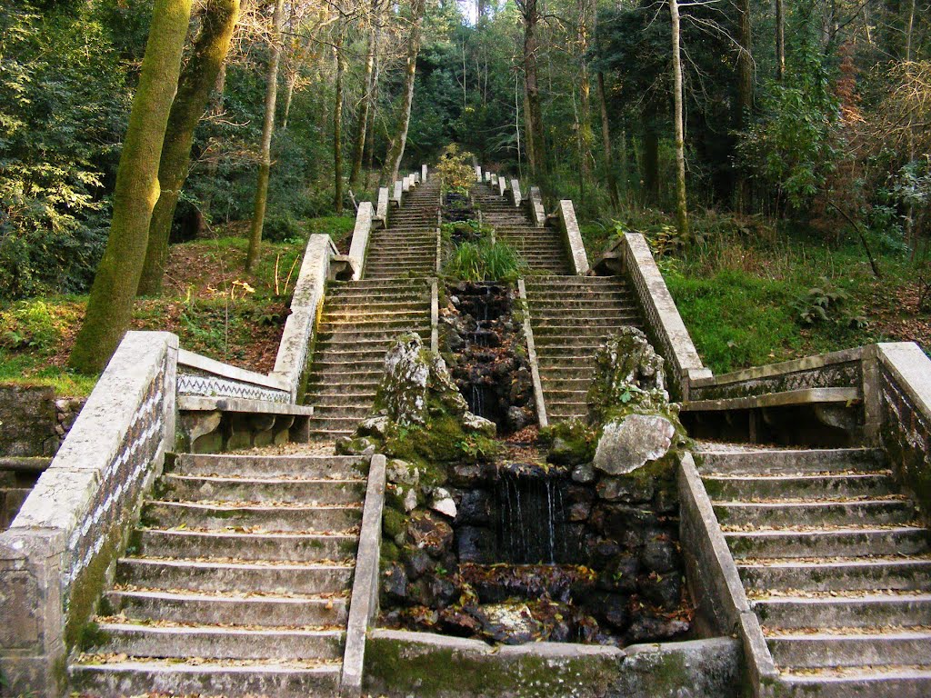 Mata do Bussaco - Fonte Fria by Bruno Esteves