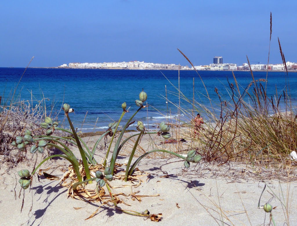 Gallipoli dalla baia verde by Antonio Passaseo