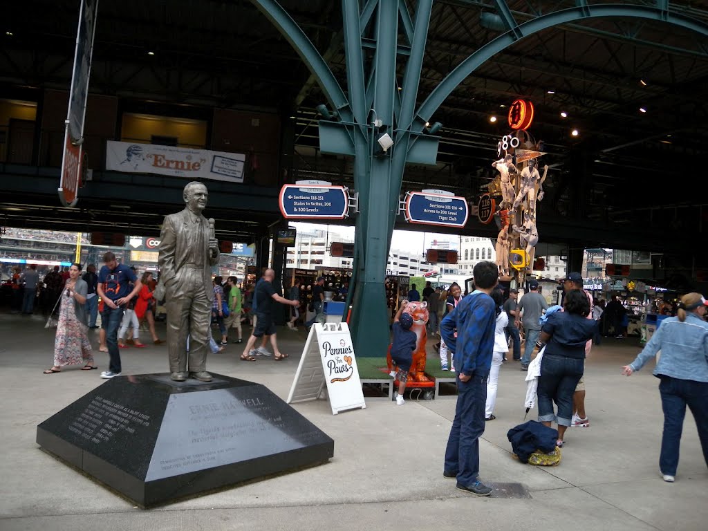 Comerica Field by yubert