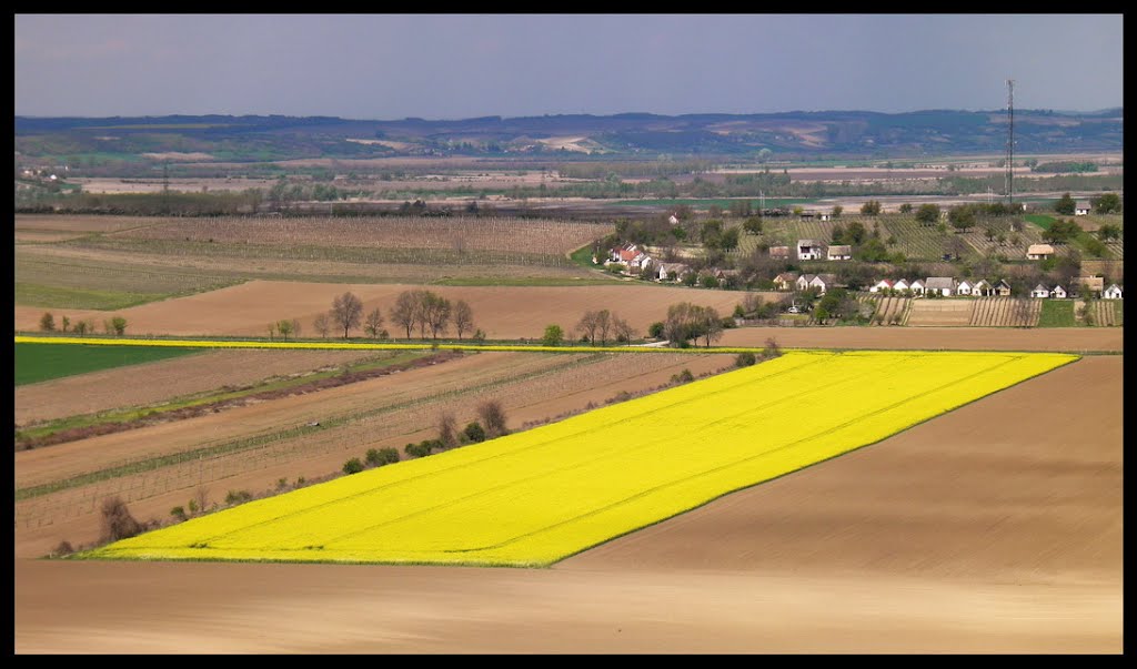 Szekszárd, 7100 Hungary by Zoltan Molnar