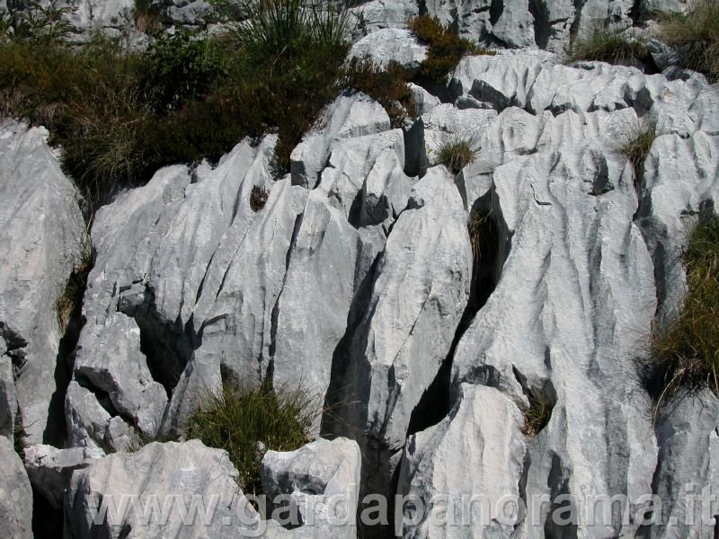 "CAMPI SOLCATI", PIZZOCOLO, LAGO DI GARDA by gardapanorama.it