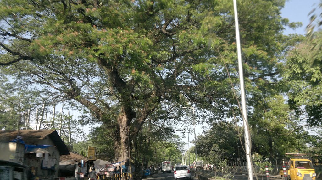 Pan Bazar, Guwahati, Assam, India by San Phrangmung