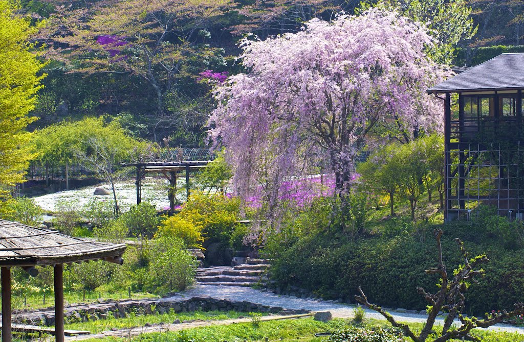 Muroutakidani, Uda, Nara Prefecture 633-0313, Japan by kankurou