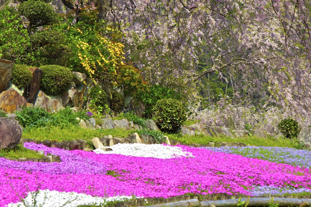 Muroutakidani, Uda, Nara Prefecture 633-0313, Japan by kankurou