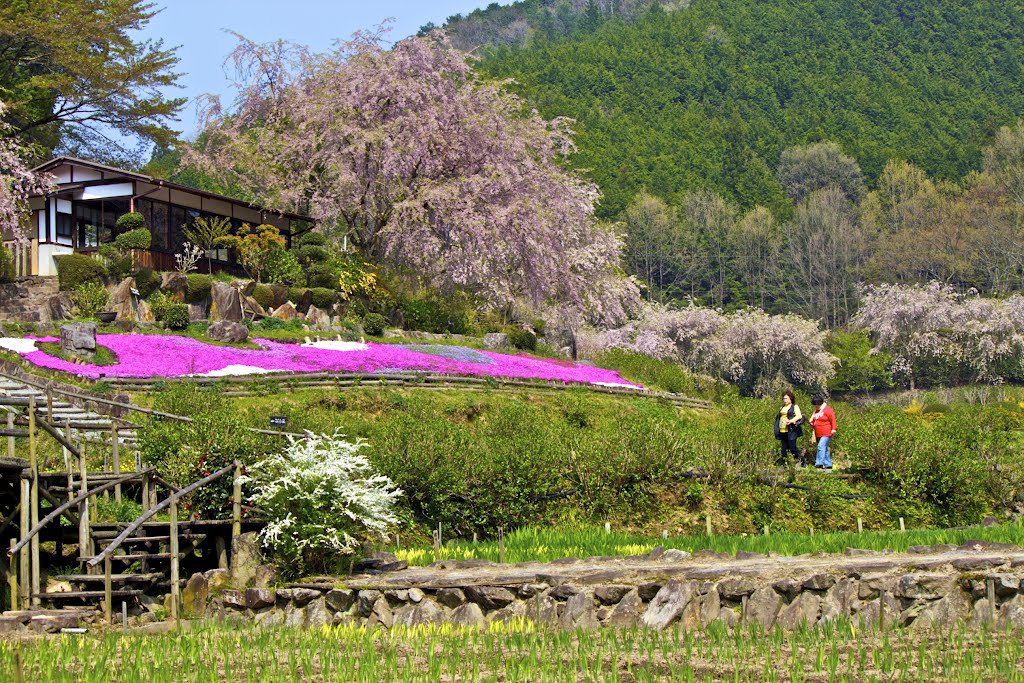 Muroutakidani, Uda, Nara Prefecture 633-0313, Japan by kankurou