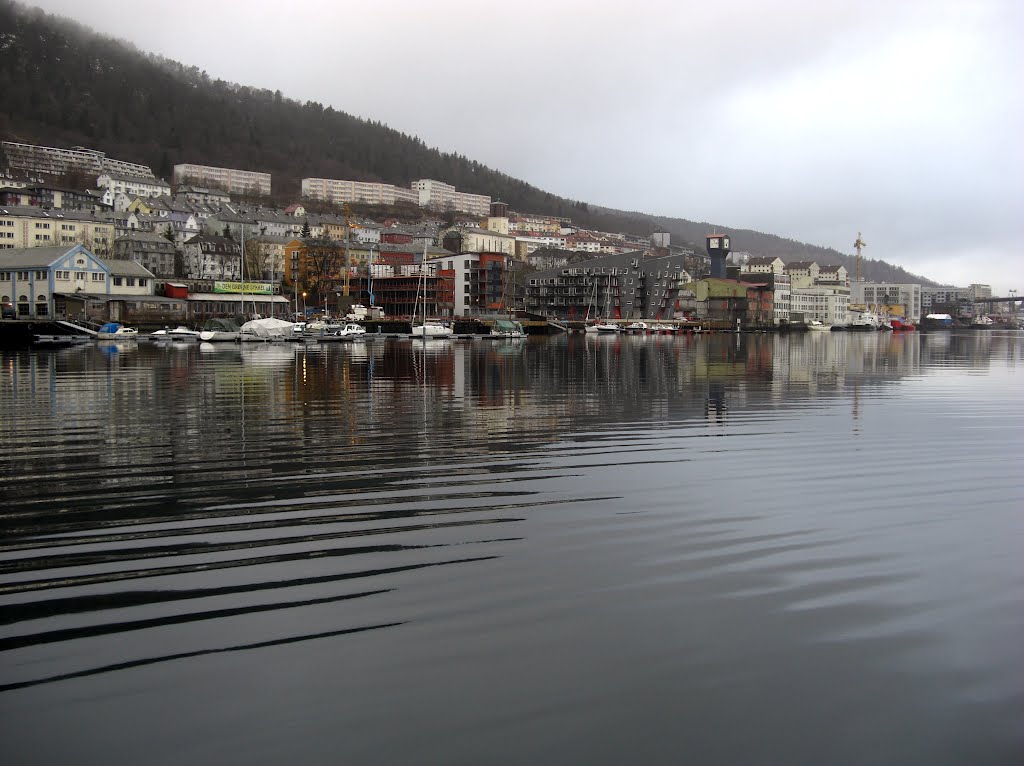 A great view a rainy day in january by Mona Lygre