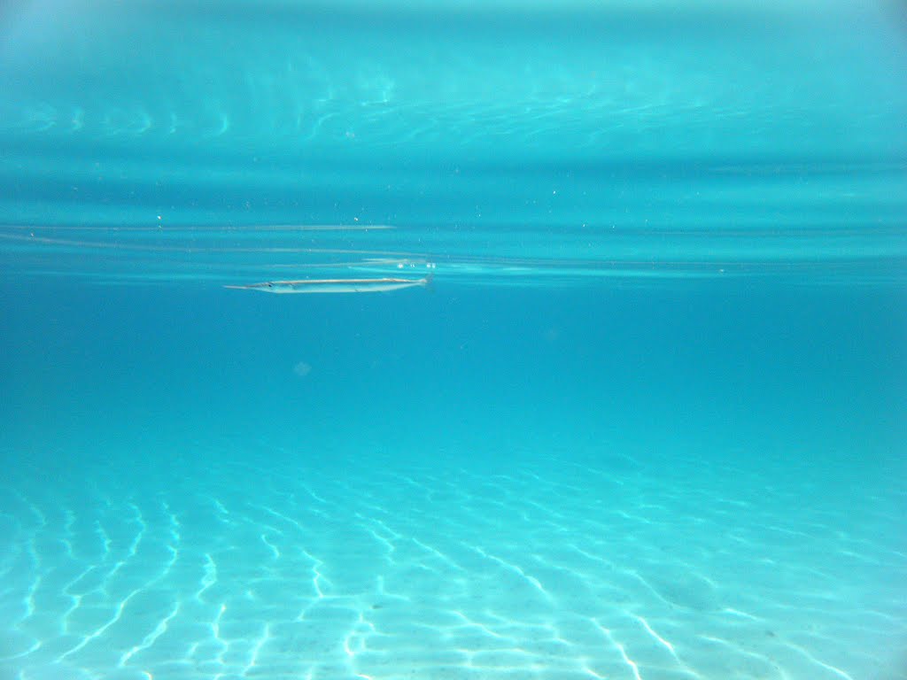 Lagonisi beach underwater by Ágoston Deák