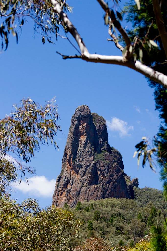 View of the Warrumbungles from lookout by louisedocker