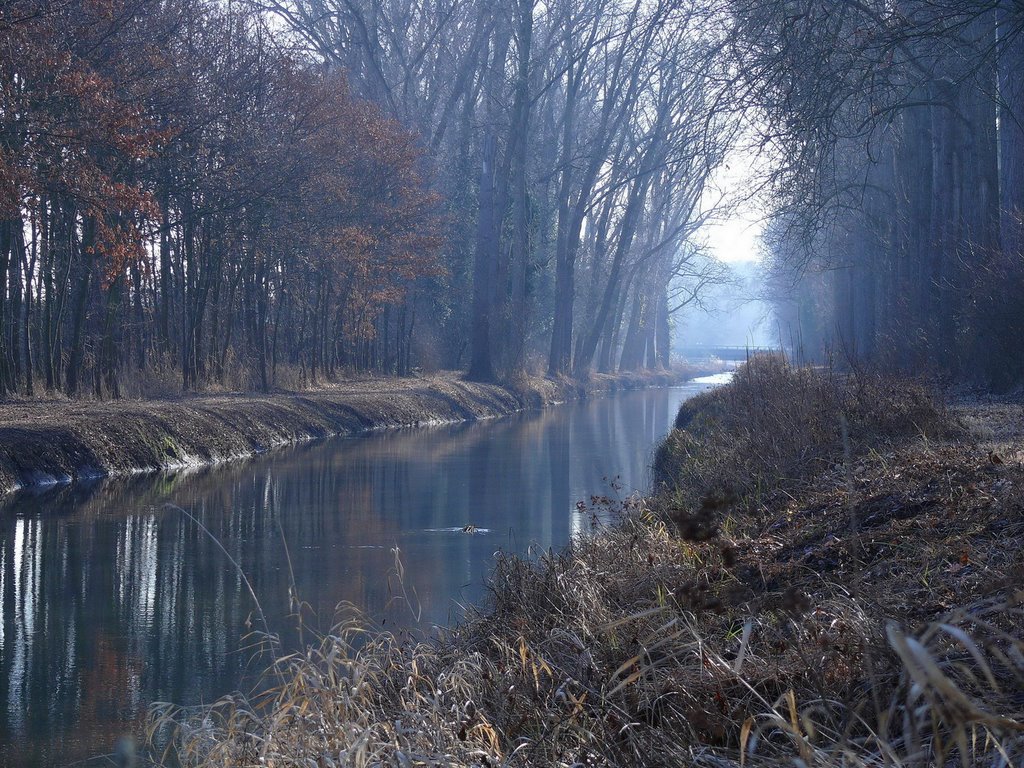 Pfinzkanal bei Philippsburg by K.Herr