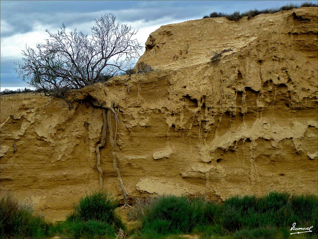 120426-27 BARDENAS REALES.jpg by Víctor Manuel Mamblo…