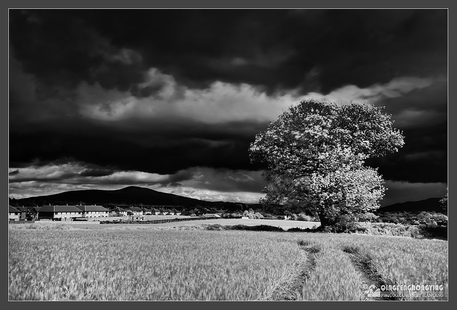 IR filter 2012 by qifeloyi