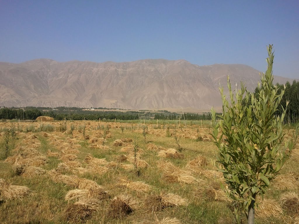 Keshom, Badakhshan by Ahmad Shah Mujadidi