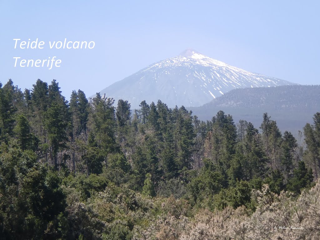 Teide Volcano by Nelson Kimura