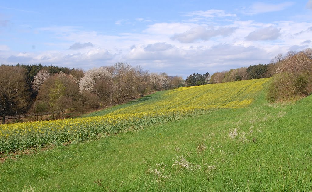 Hattert, Germany by wHucki