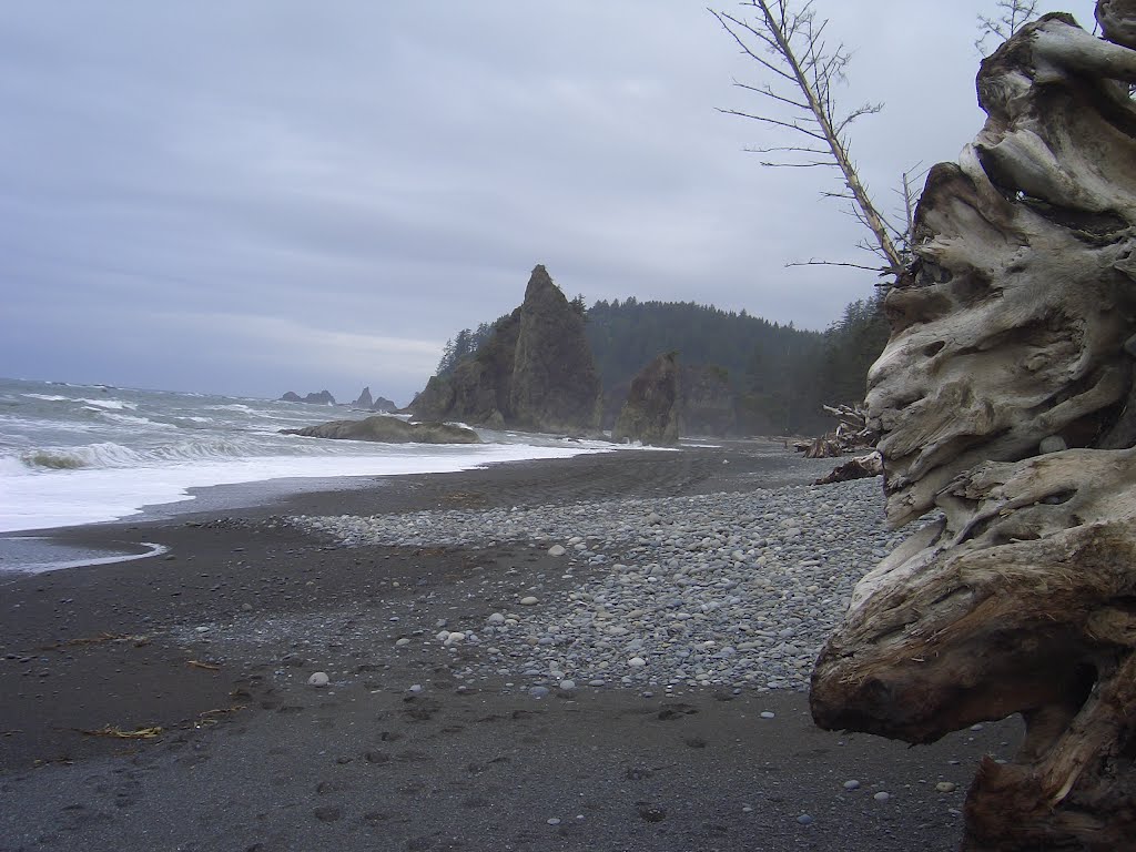 Rialto Beach - Olympic National Park - Washington - USA (1594) by Felix M.