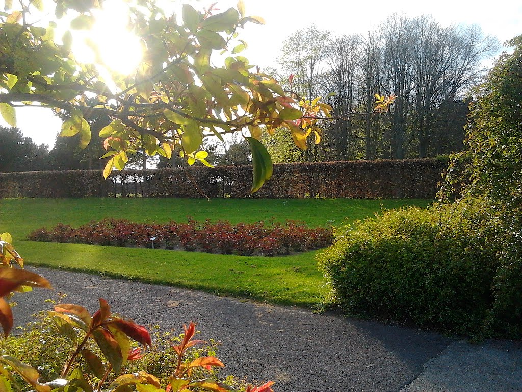 St Anne's Park Roses Bed April 2012 by Jarek Pusiarski