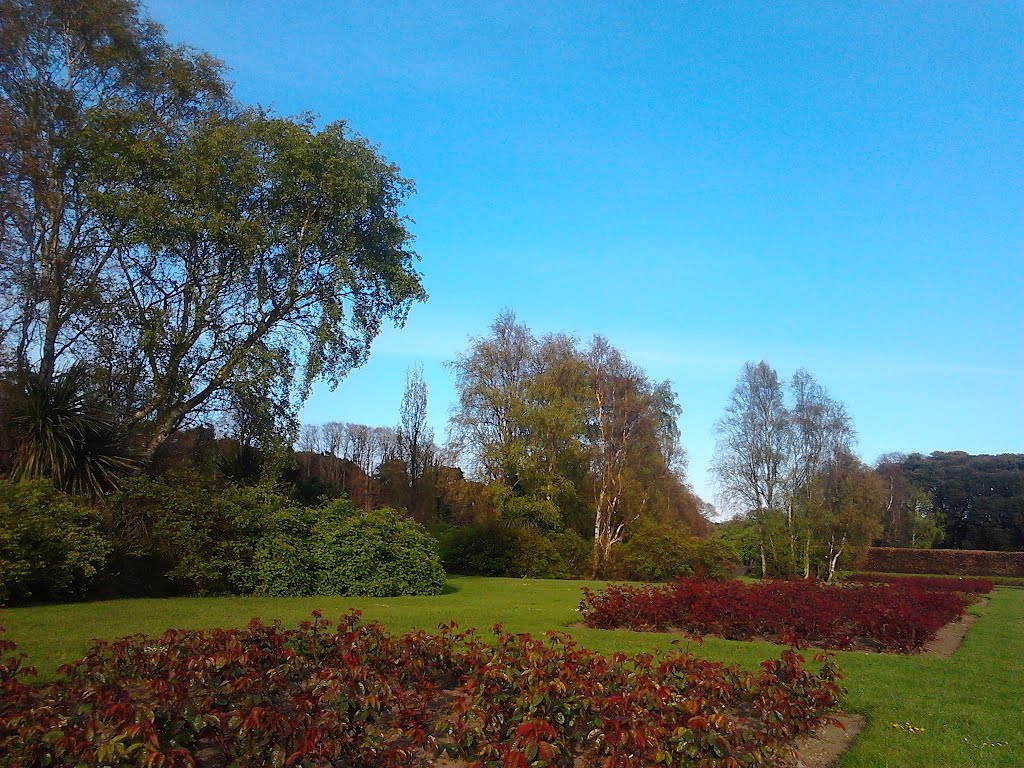 St Anne's Park, Dublin, Roses and Trees, April 2012 by Jarek Pusiarski