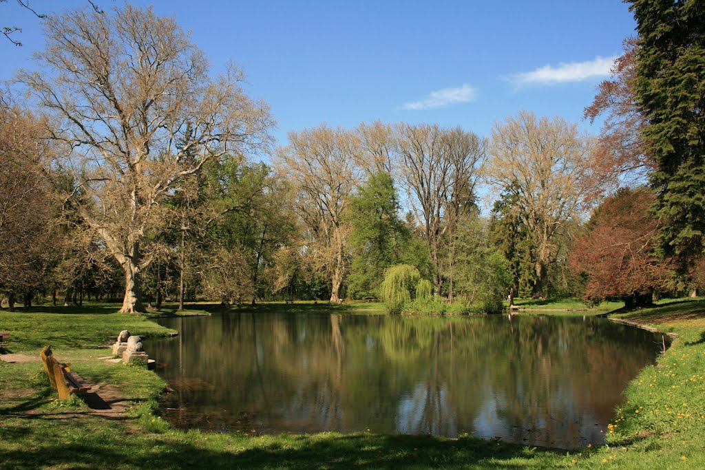 Mestský park, Stupava by Tomas Nemeth