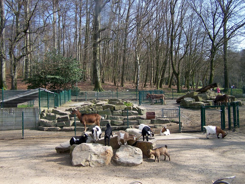 Streichelzoo im Gysenbergpark by Ja Wi