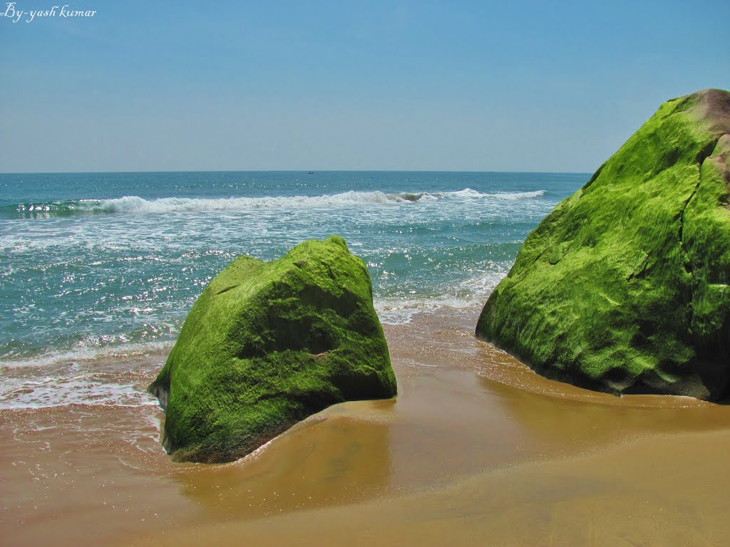 Nature paradise at mahabalipuram beach by yash kumar