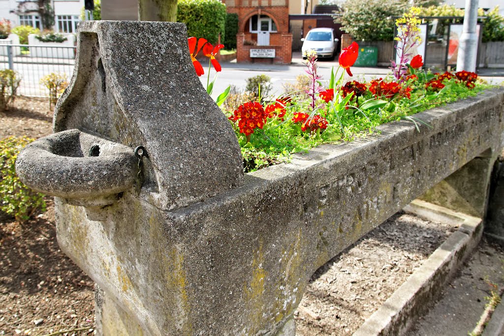 Metropolitan Drinking Fountain and Cattle Trough Association, Colchester, Essex, April 2012 by keithb