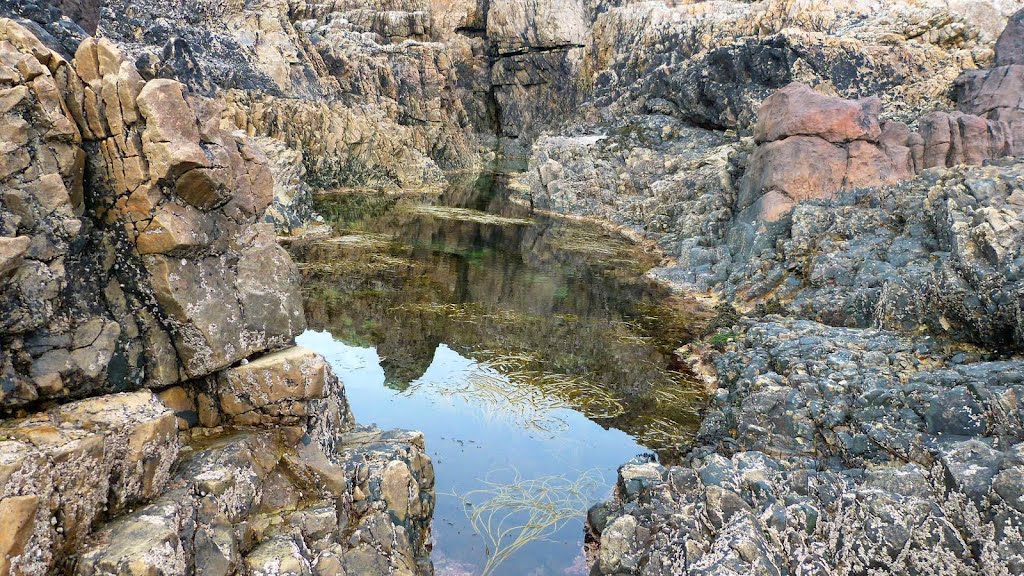 Mesmerising Pool by Caroline Mc Gonagle