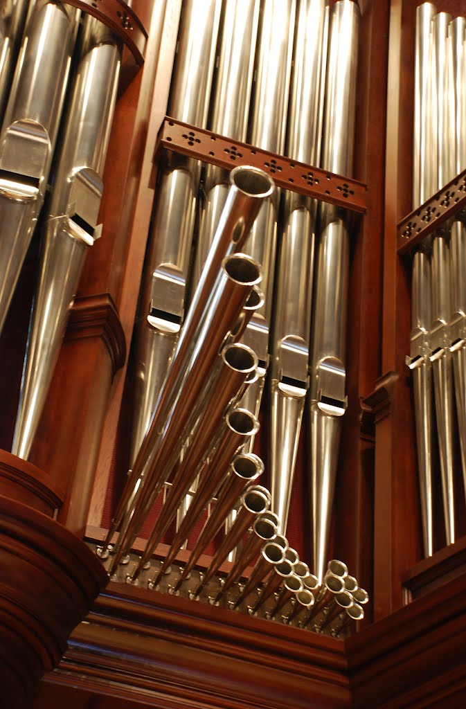 Highland Park United Methodist Church Organ Detail - Dallas by bevoarchitect