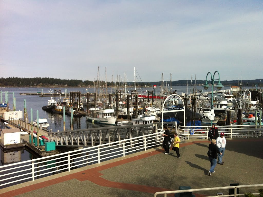 Port of Nanaimo by Thom Jones