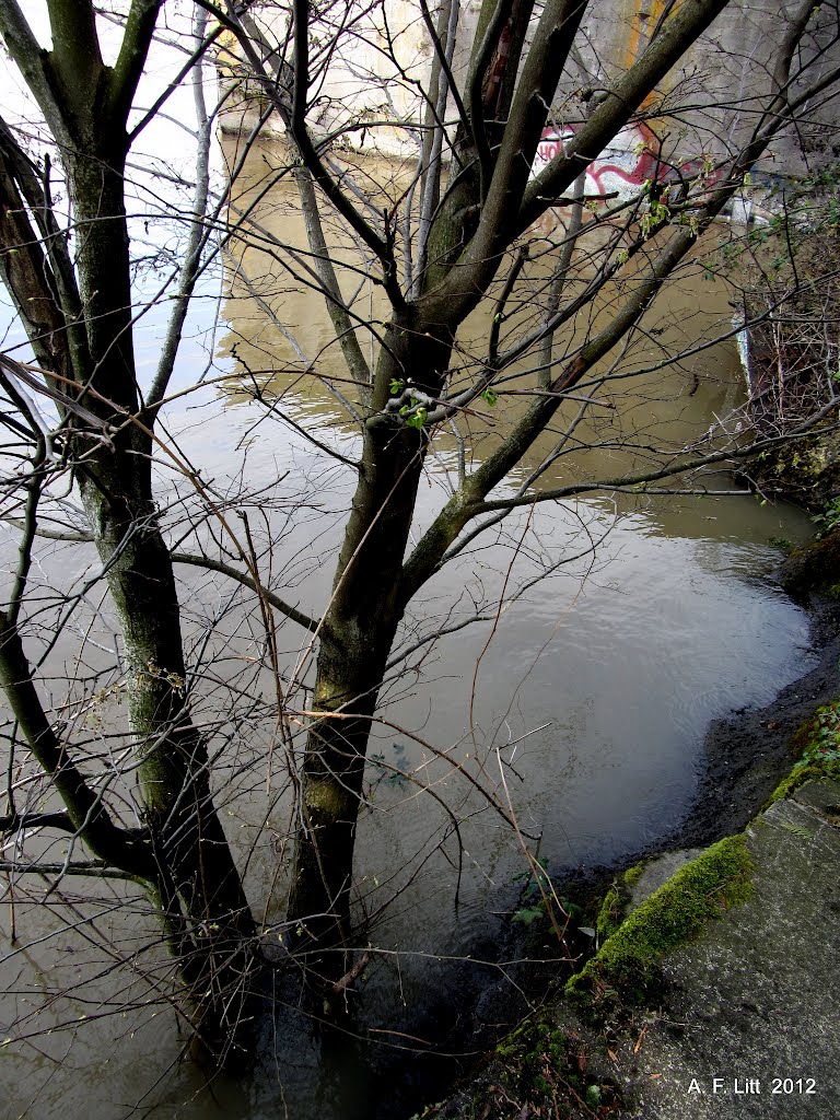 High water. Willamette River. Portland, Oregon. April 2, 2012. by Aaron Litt