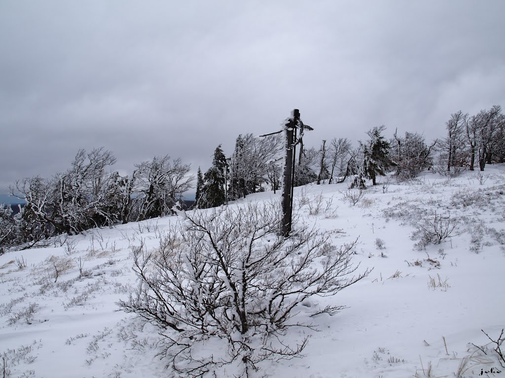 Na úboči Vtáčnika by < JOKO >