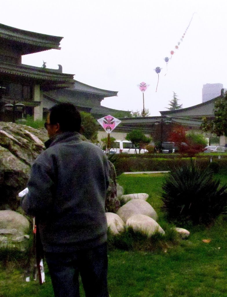 西安 放風箏 flying kites,Xian,China by Percy Tai  漆園童