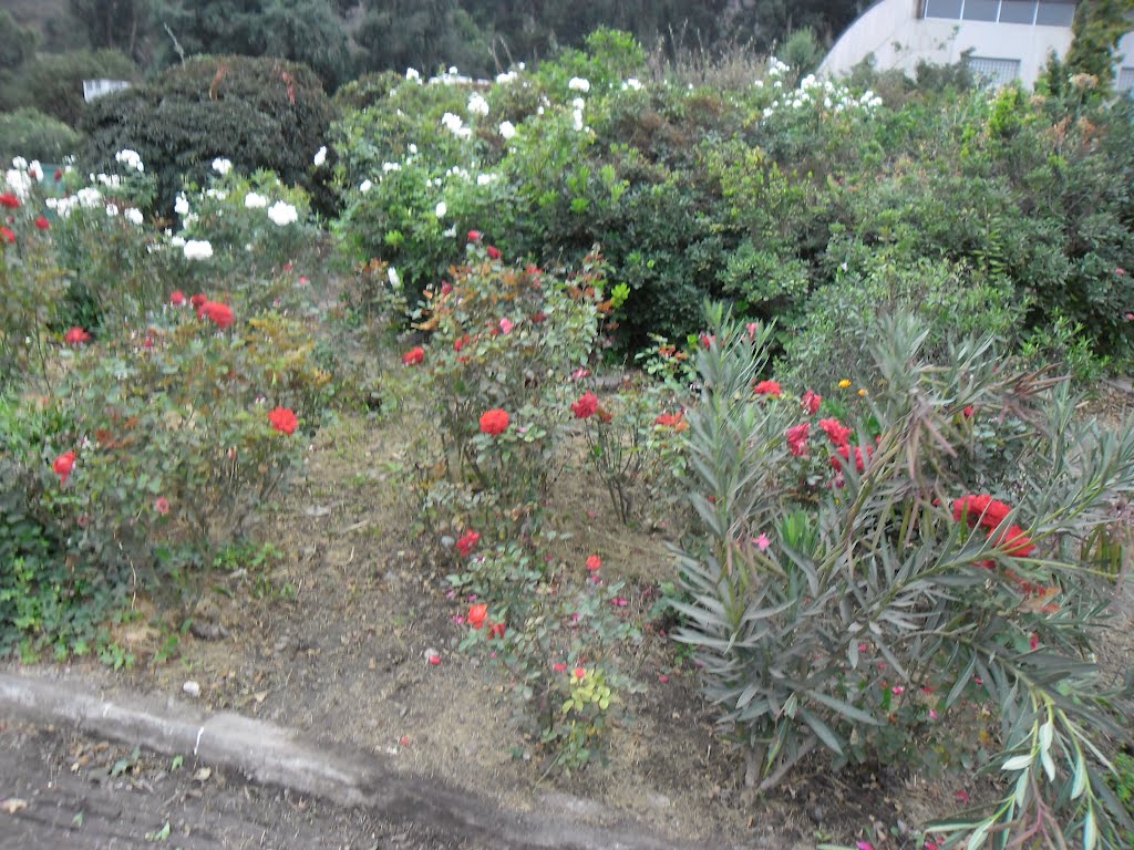 Santiago, Santiago Metropolitan Region, Chile by Karen Campusano Ampu…