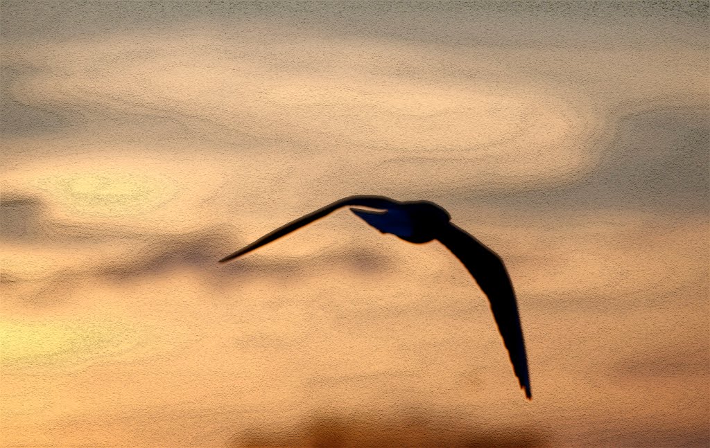 Abendstimmung by Manfred sogesehen