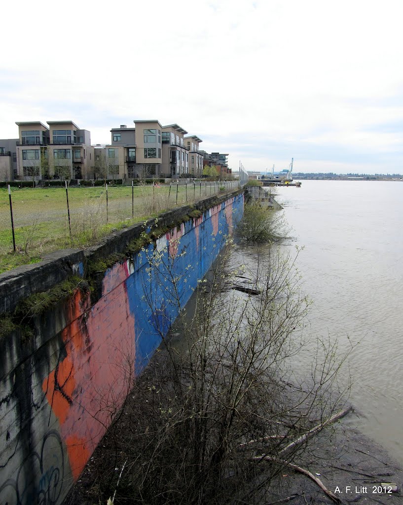 High Water. Willamette River. Portland, Oregon. April 2, 2012. by Aaron Litt