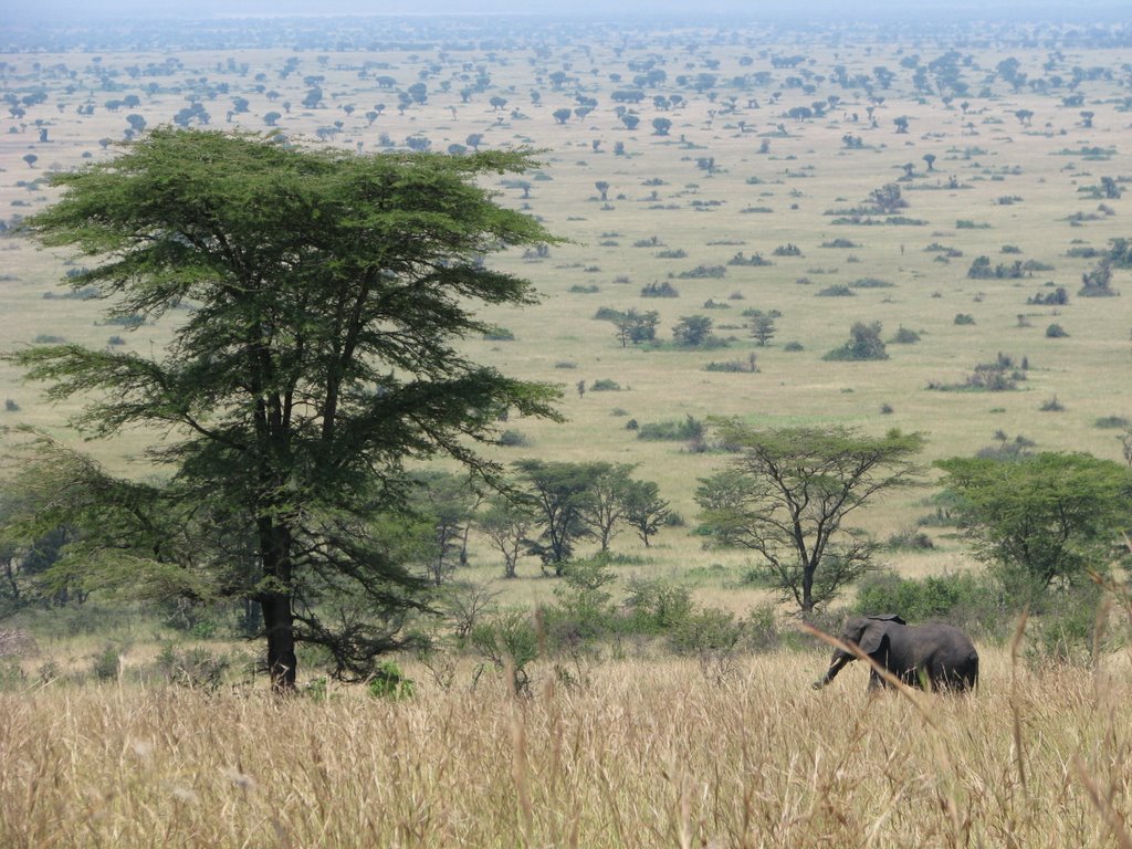 Busongora, Uganda by Markus Källander