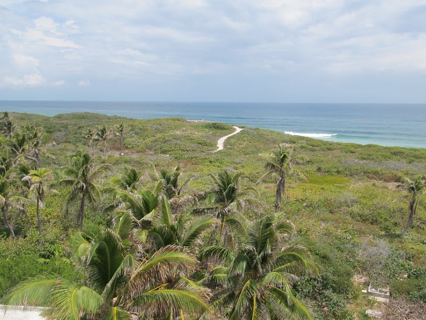 Isla Contoy by dali mac