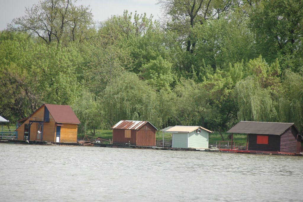 Splavovi na Savi by Teča sa Dunava