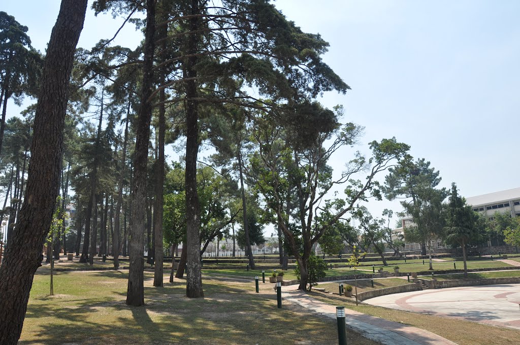 Mandanelho's Park (Parque do Mandanelho), Oliveira do Hospital, Portugal by Marco Veloso