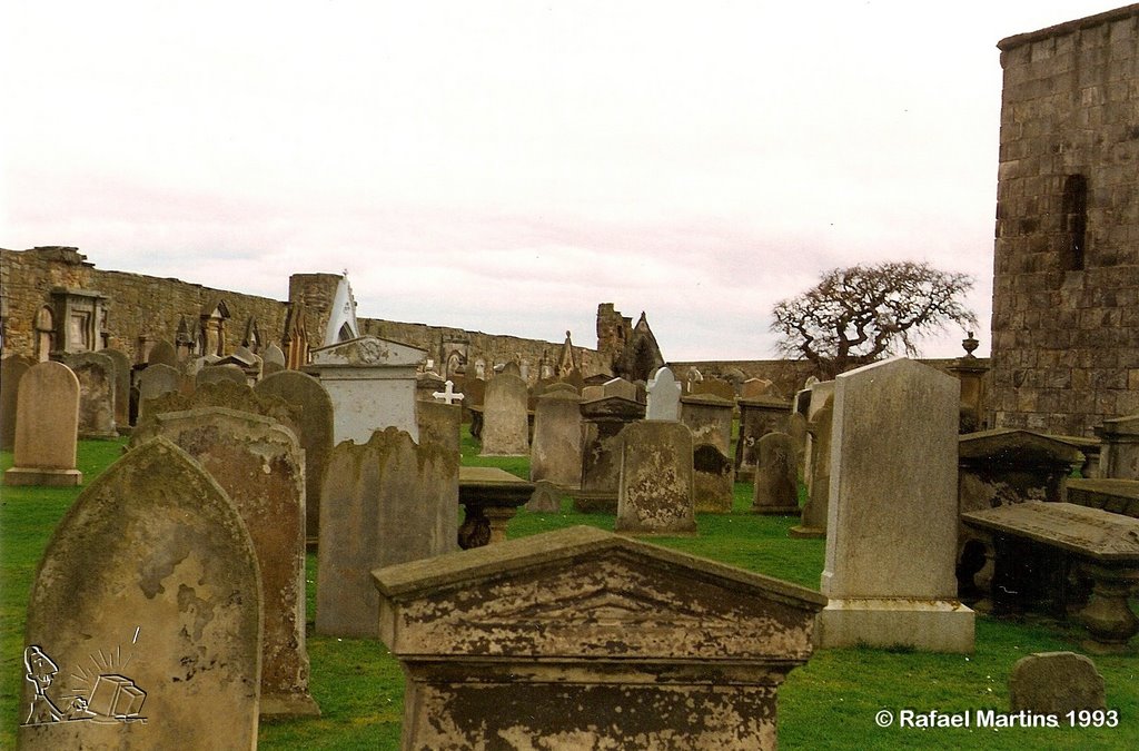 St Andrews Cathedral, 1993 by Rafael Martins