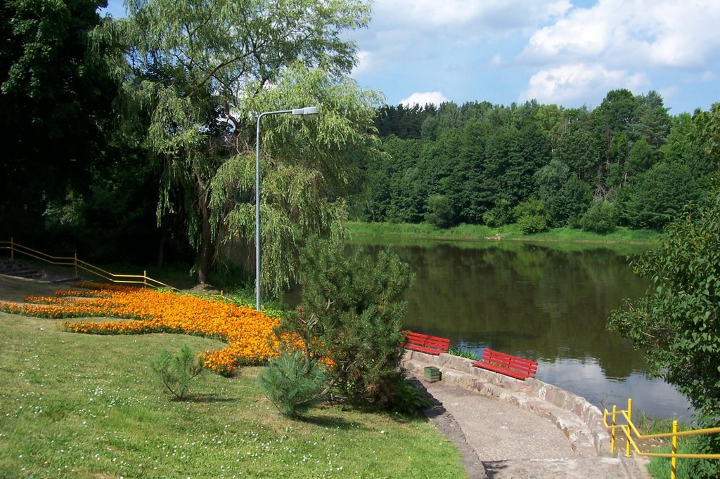 Salty Spring of Beauty near River Nemunas by Edita Aksamitiene