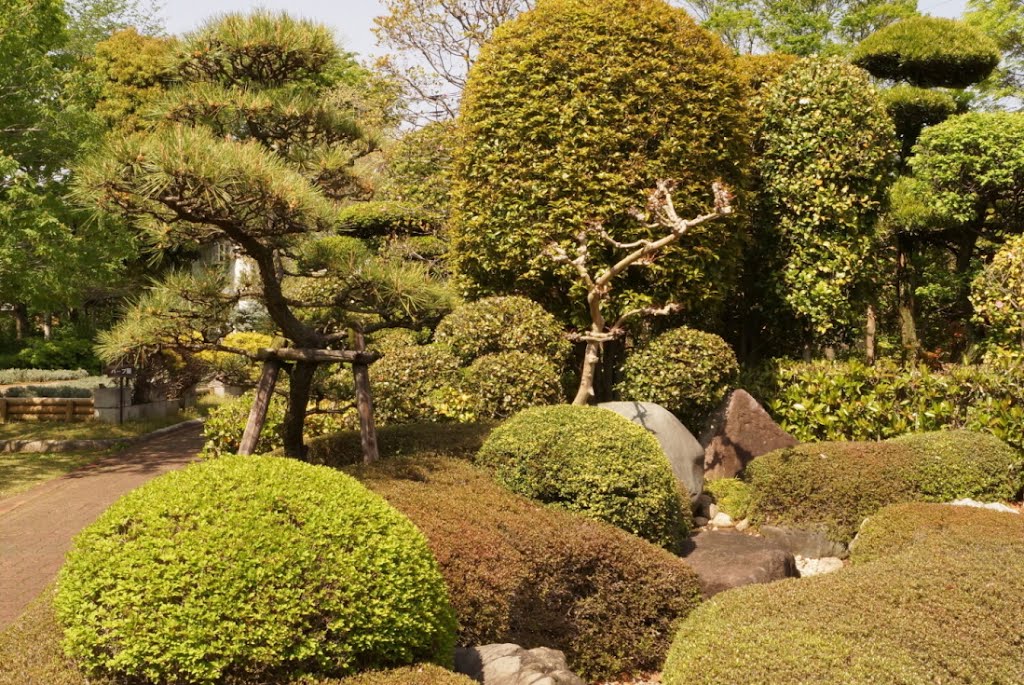 Kawaguchi green center 和風庭園のサンプル by Ken Matsu