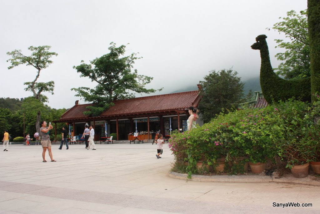 Sanya Nanshan Temple - Peacock by Allen JIANG