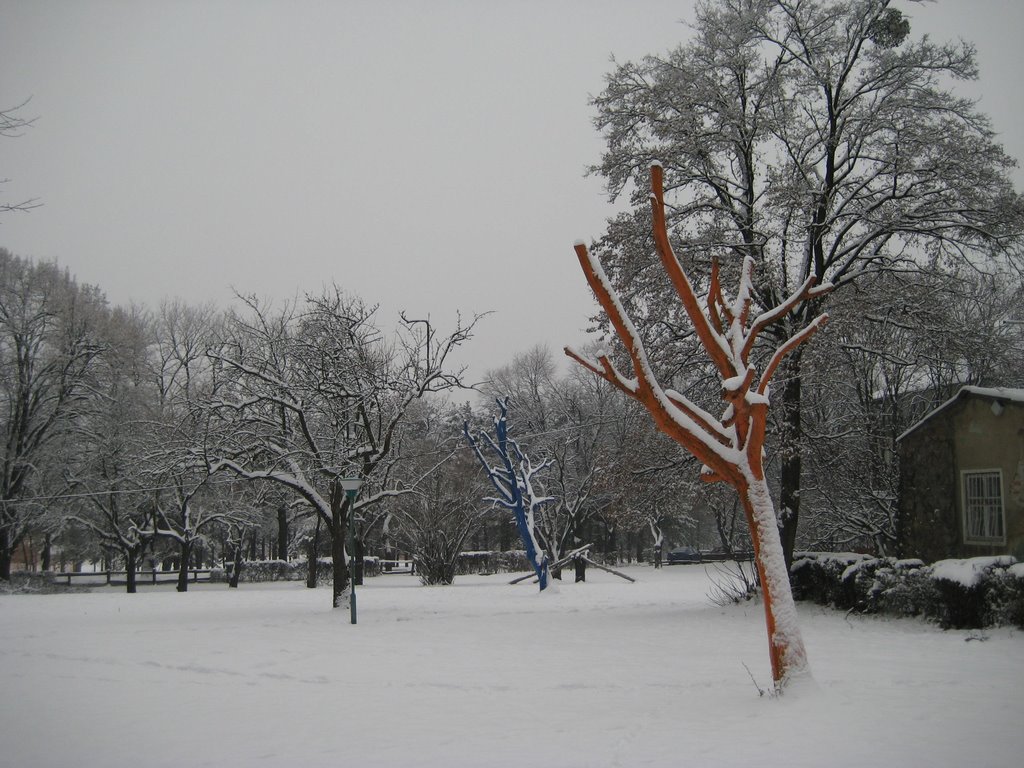 Košutnjak - Osusena stabla by Kesic Milenko