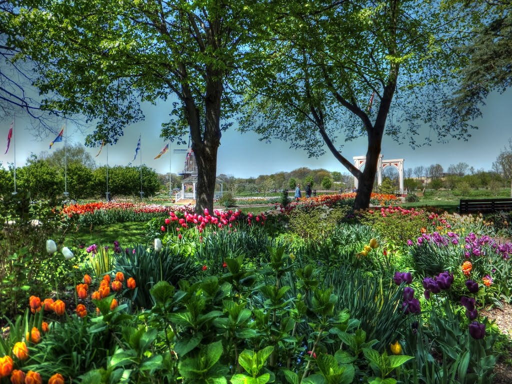 Windmill Island (Holland, MI) by juan234x