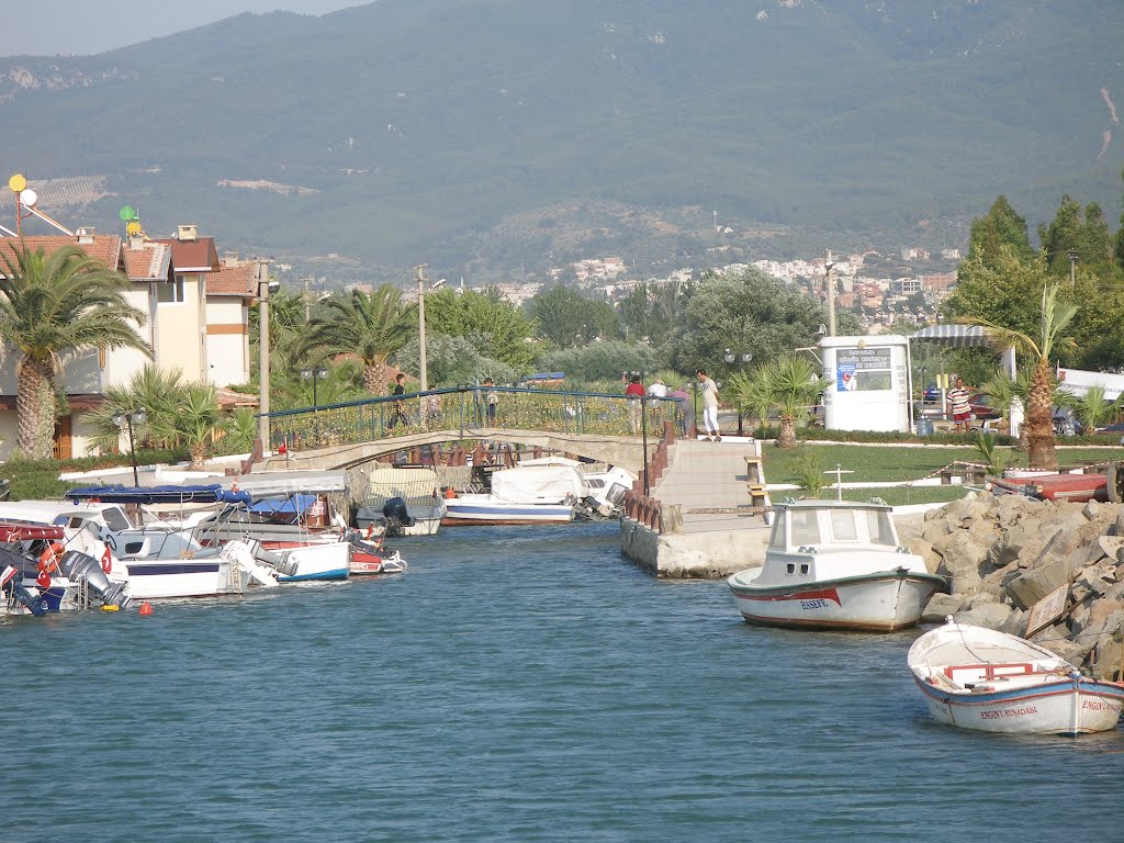 Balıkcilar Cove near Söke Sahil Sitesi by Dion Good